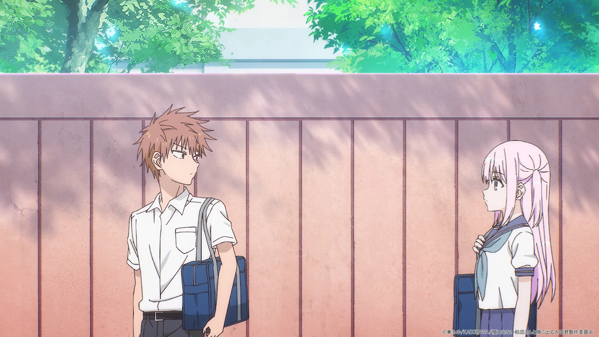 Безэмоциональная Касивада и эмоциональный Ота