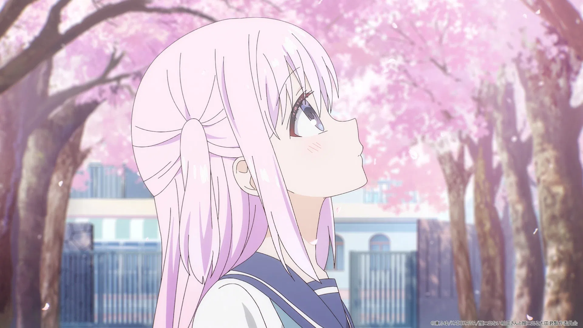 Безэмоциональная Касивада и эмоциональный Ота