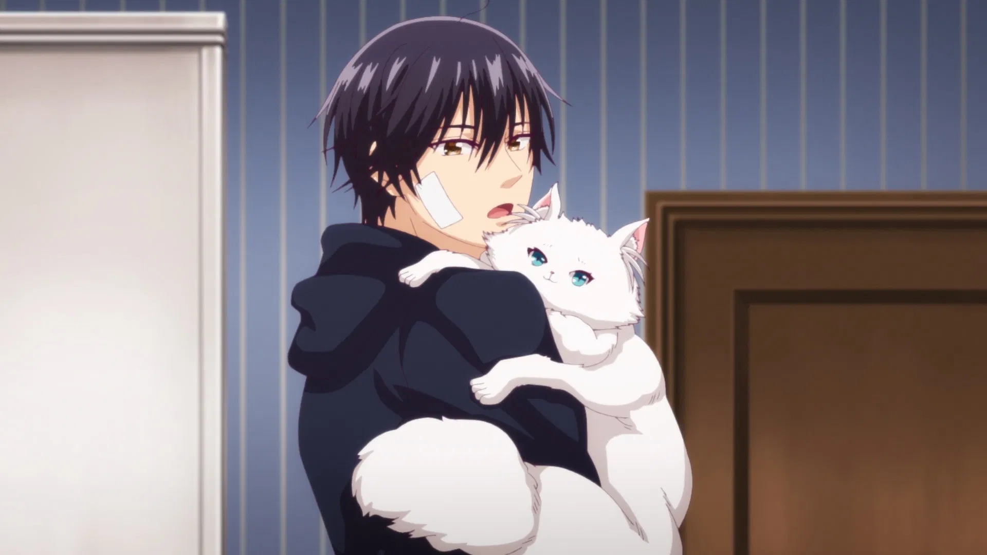 Общежитие вампиров