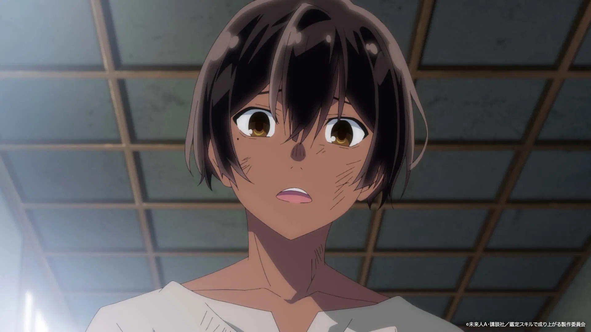 Перерождение в аристократа