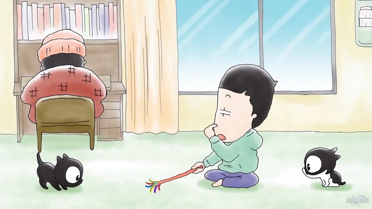 Я не могу поймать кота