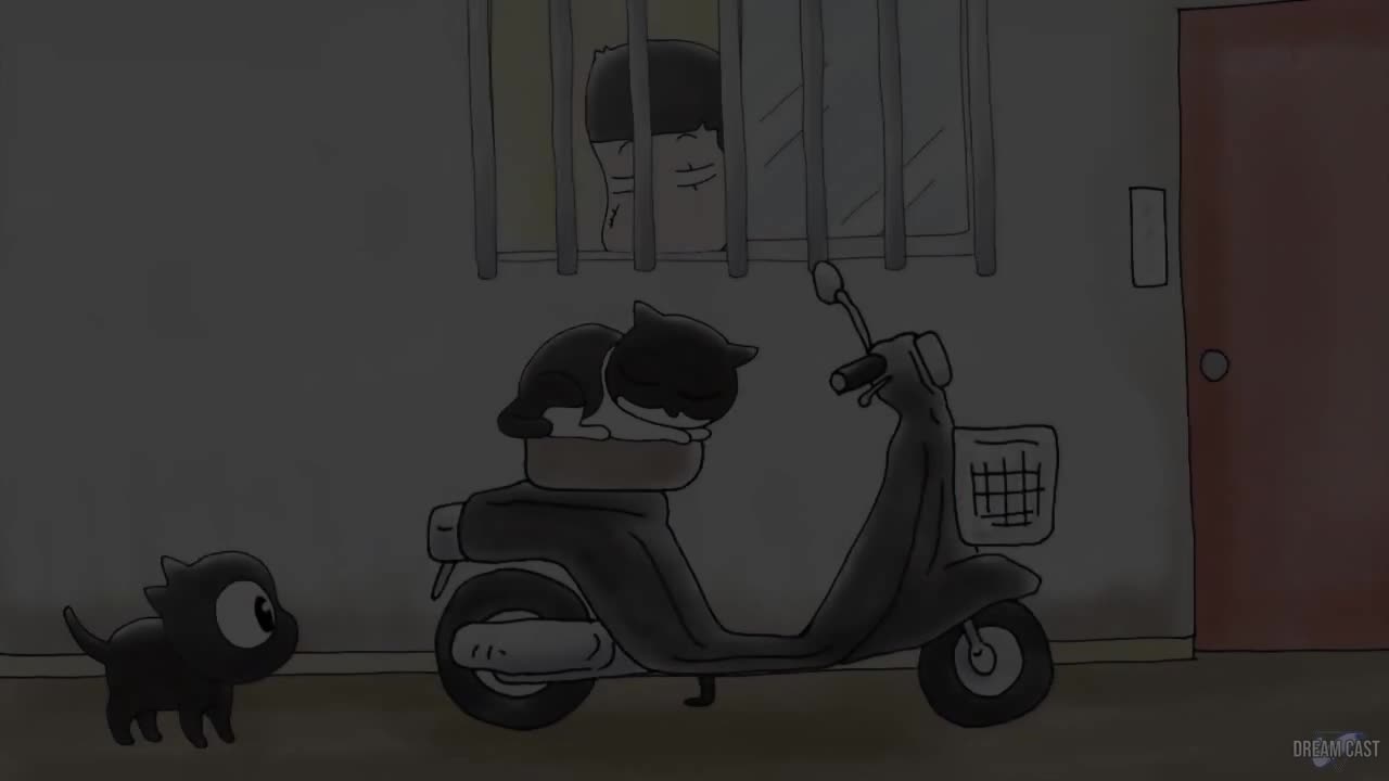 Я не могу поймать кота