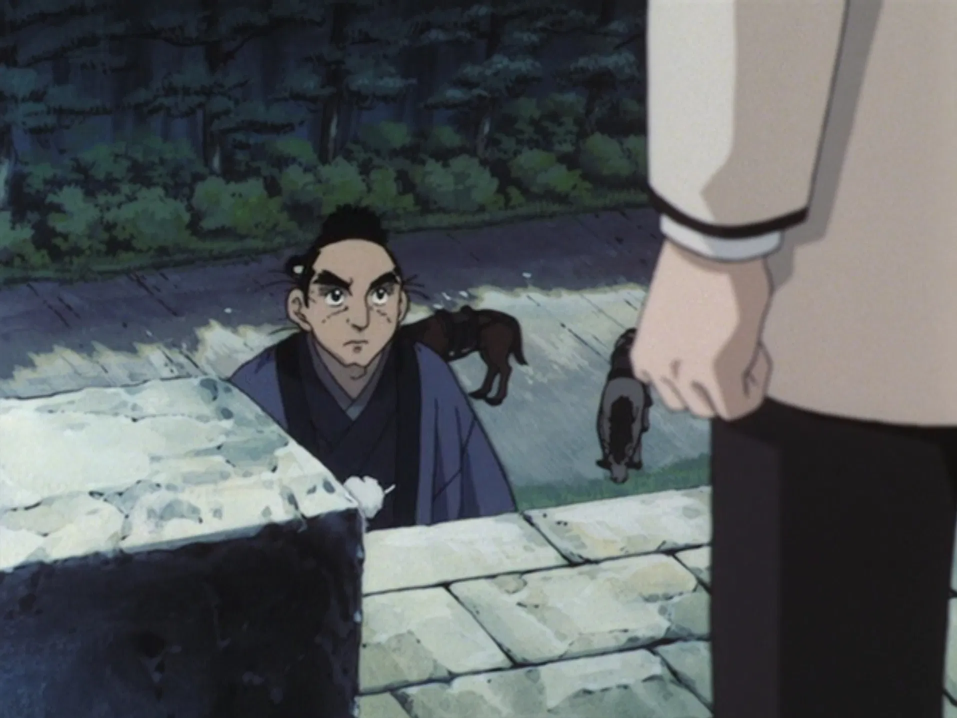 Дерево под солнцем