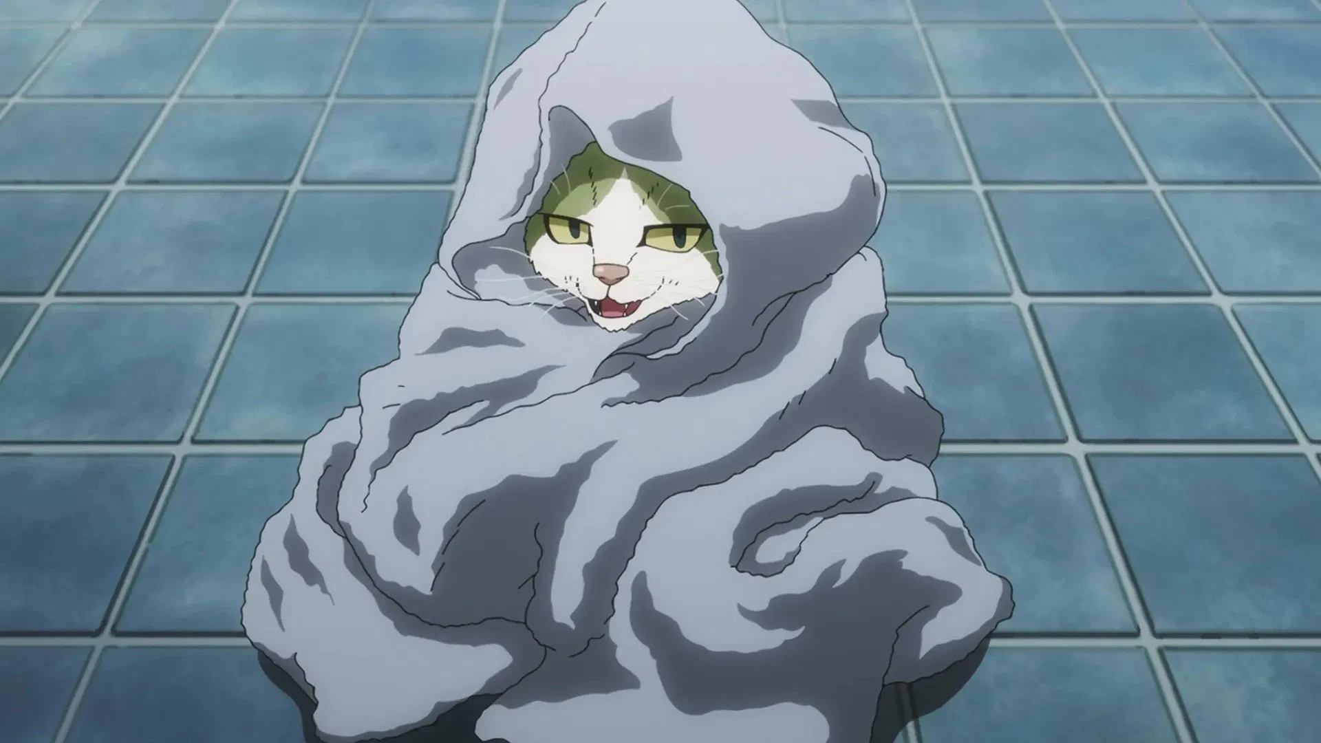 Ночь живых кошаков