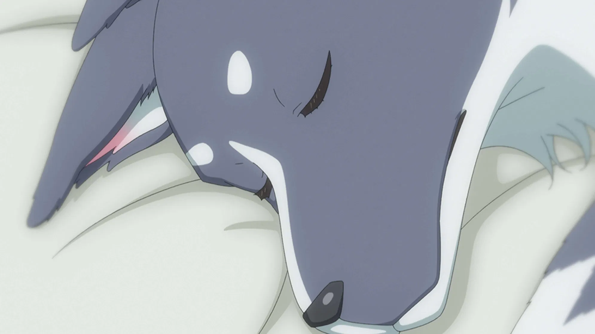 Ёханэ из паргелия: Солнечный свет в зеркале