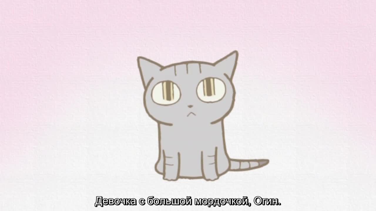 Кошачьи истории [ТВ]