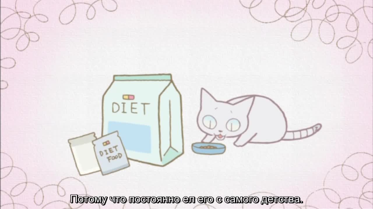 Кошачьи истории [ТВ]