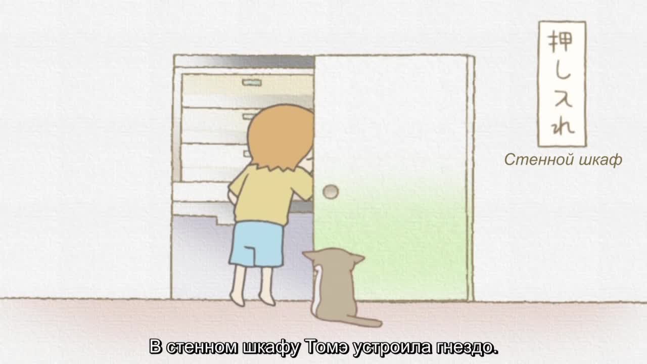 Кошачьи истории [ТВ]