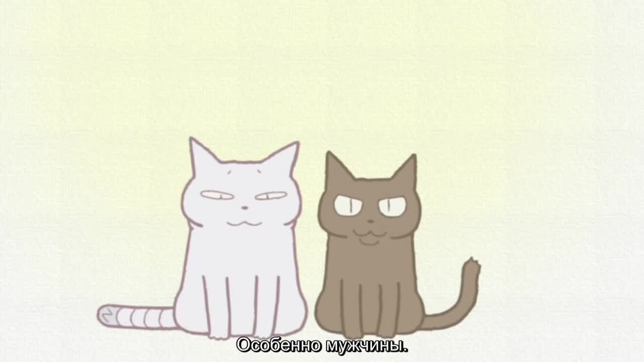 Кошачьи истории [ТВ]