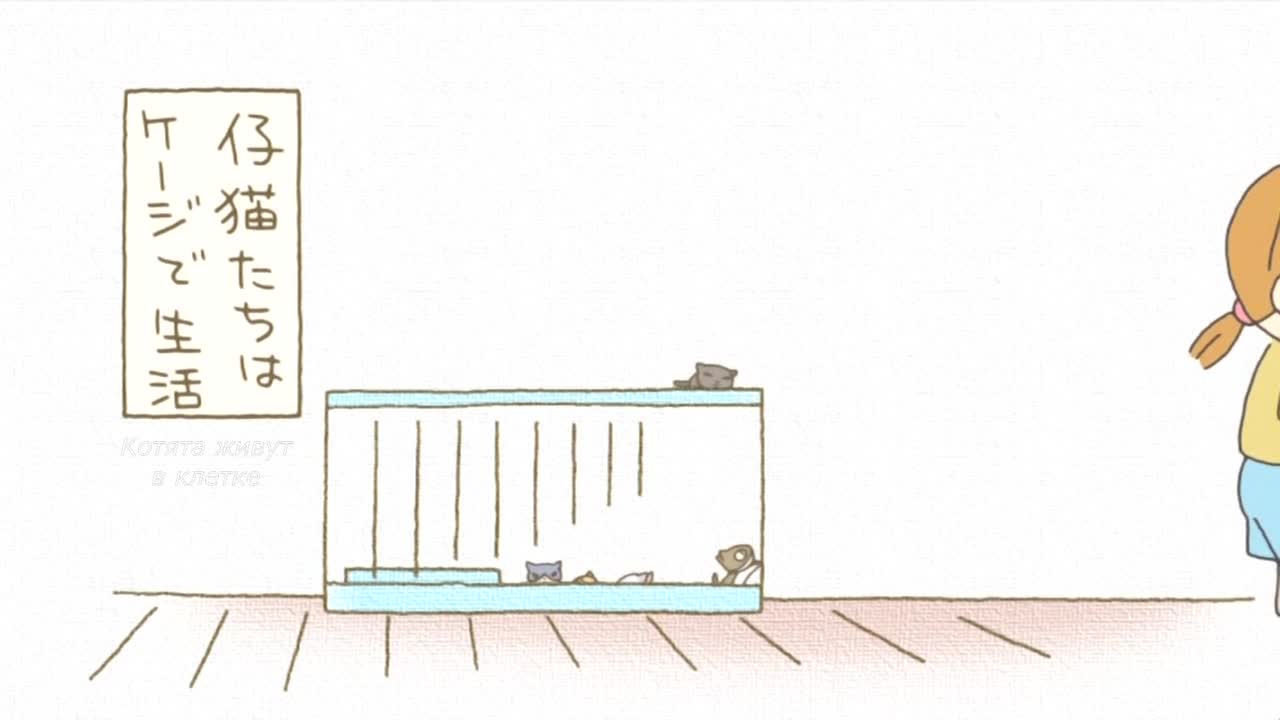 Кошачьи истории [ТВ]