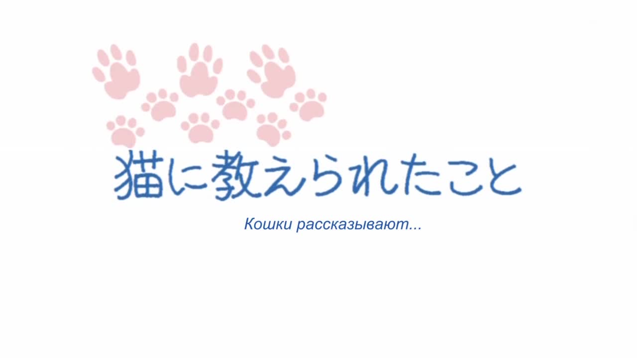 Кошачьи истории [ТВ]