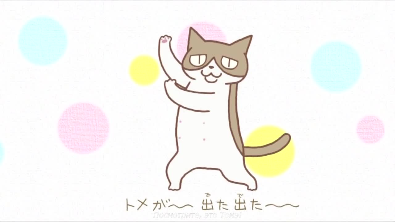 Кошачьи истории [ТВ]