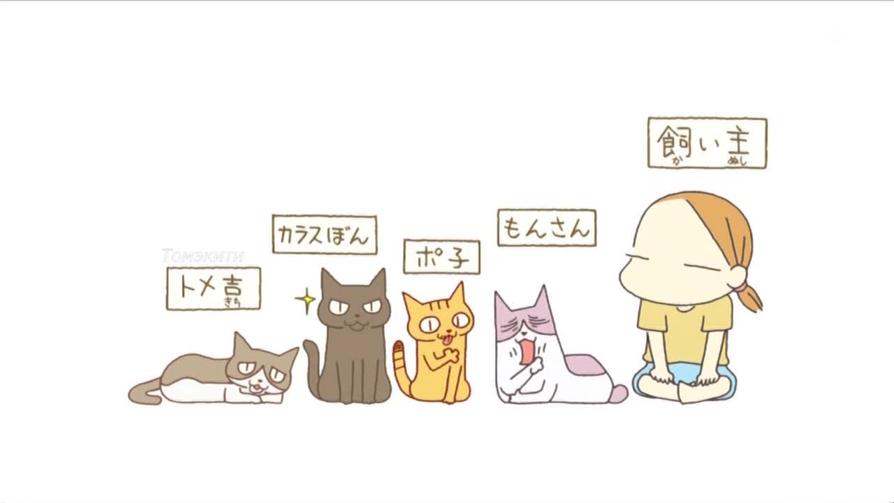 Кошачьи истории [ТВ]