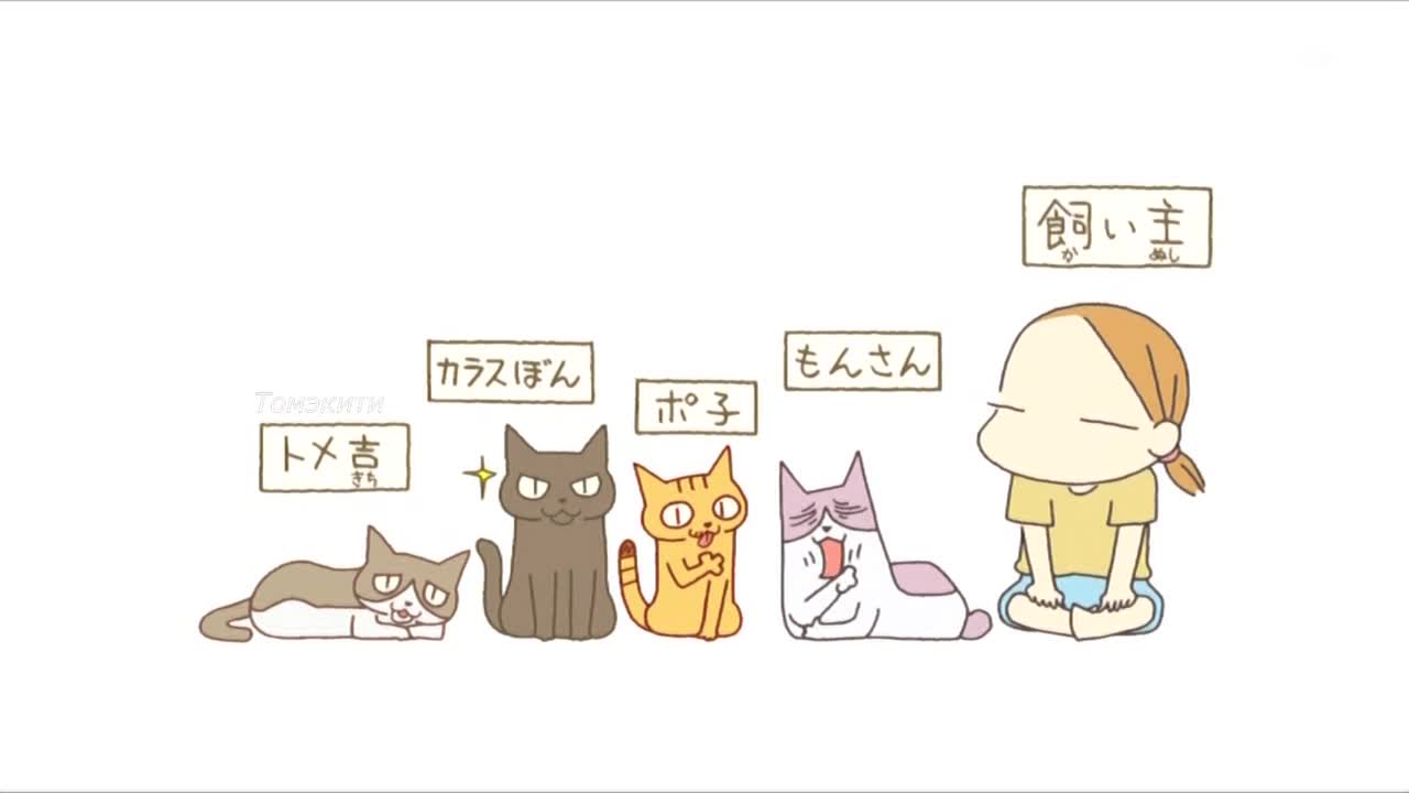 Кошачьи истории [ТВ]