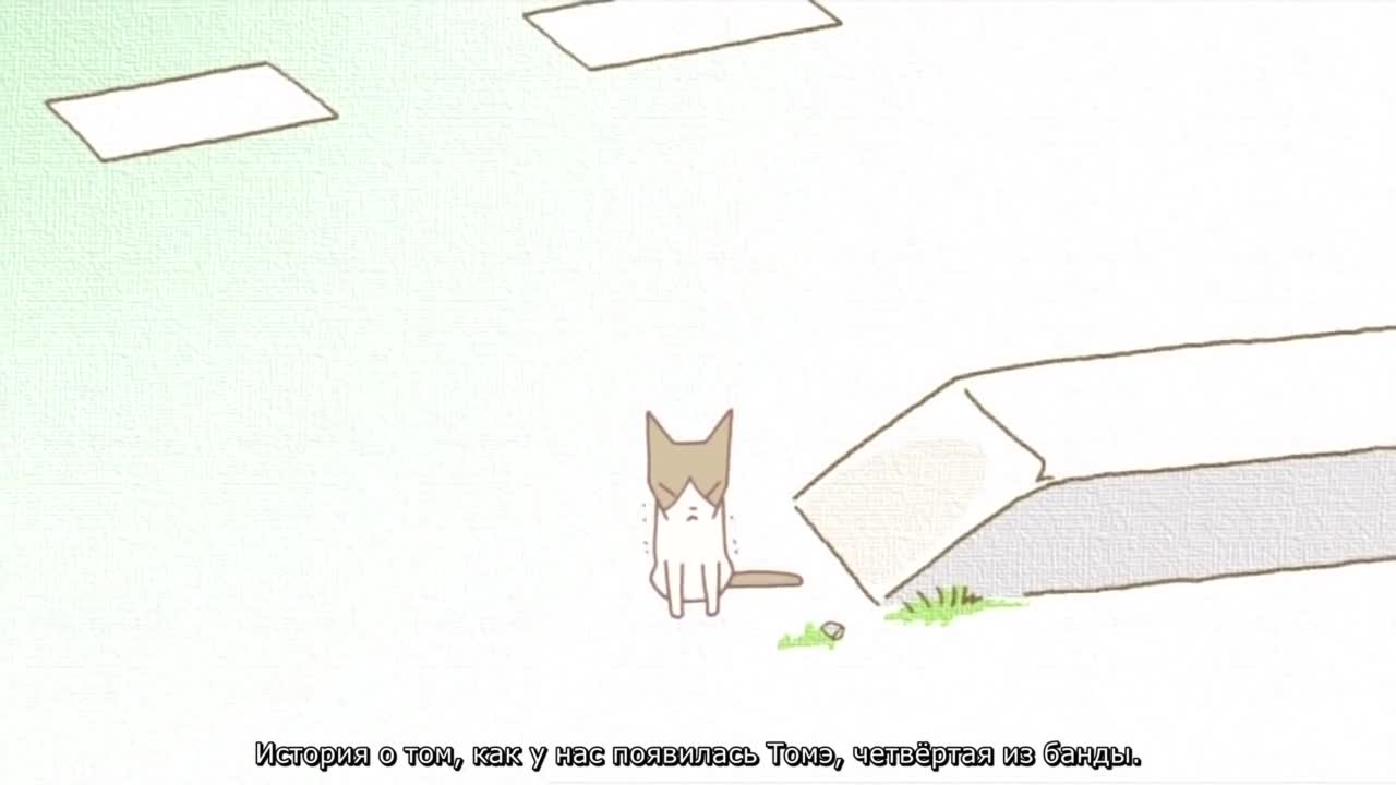 Кошачьи истории [ТВ]