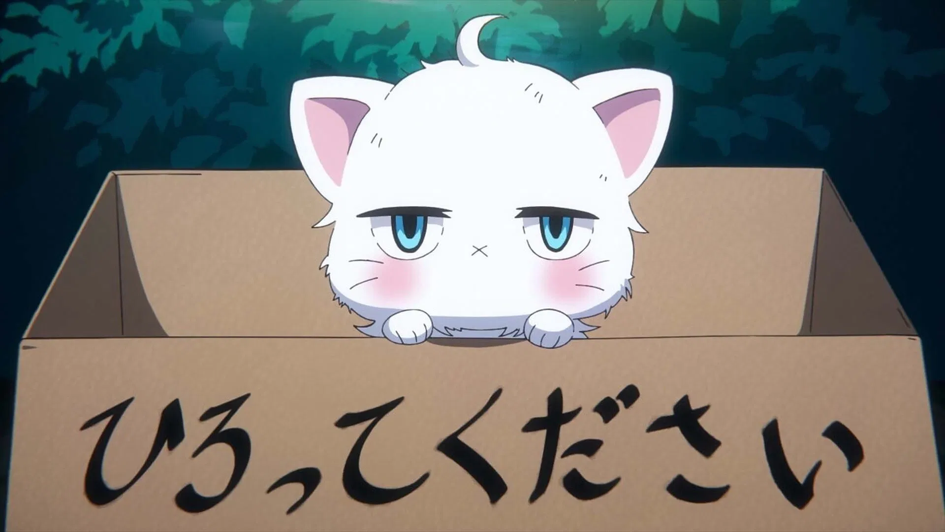 Мой бестолковый новый начальник