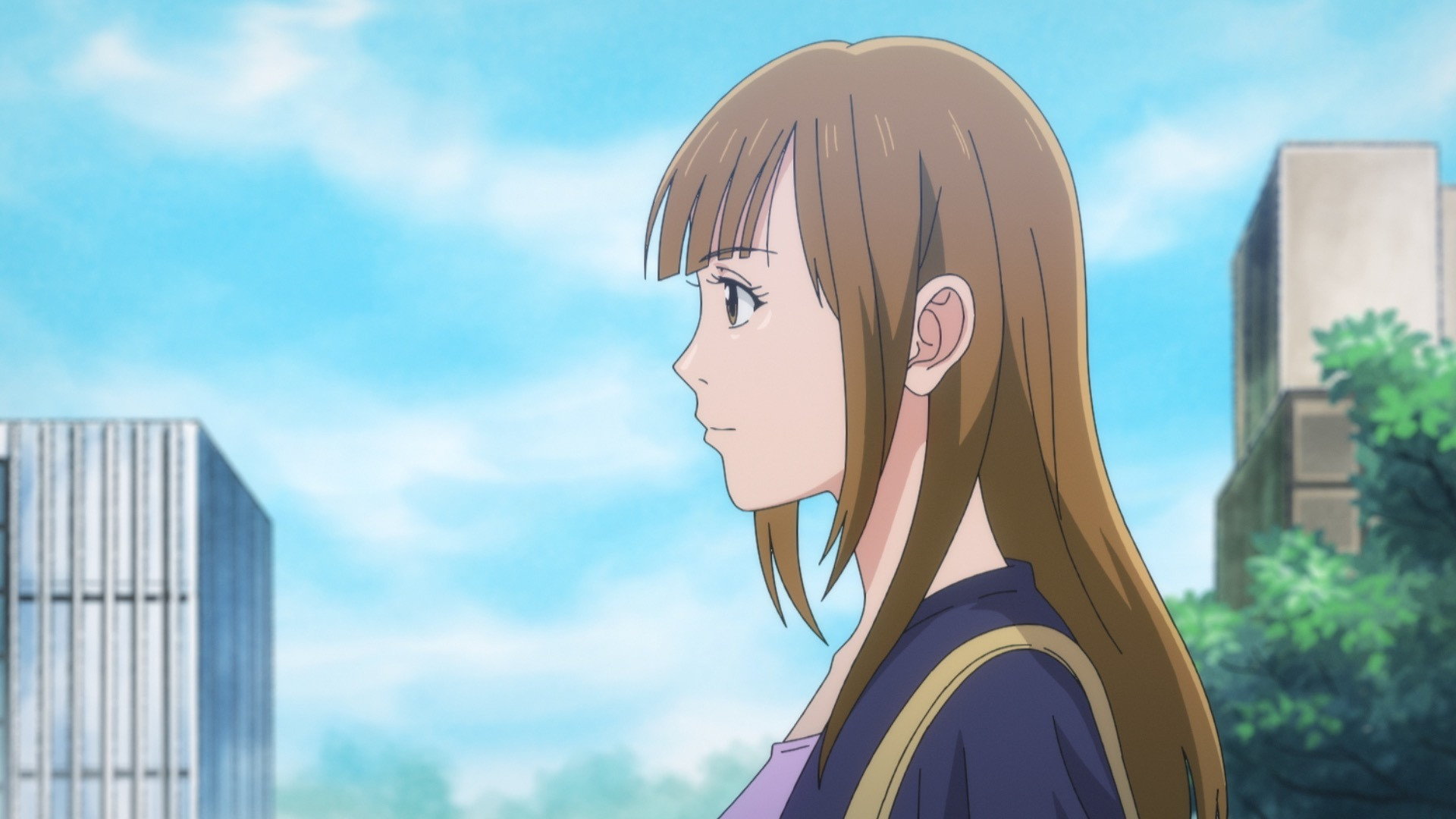 Мой домашний герой