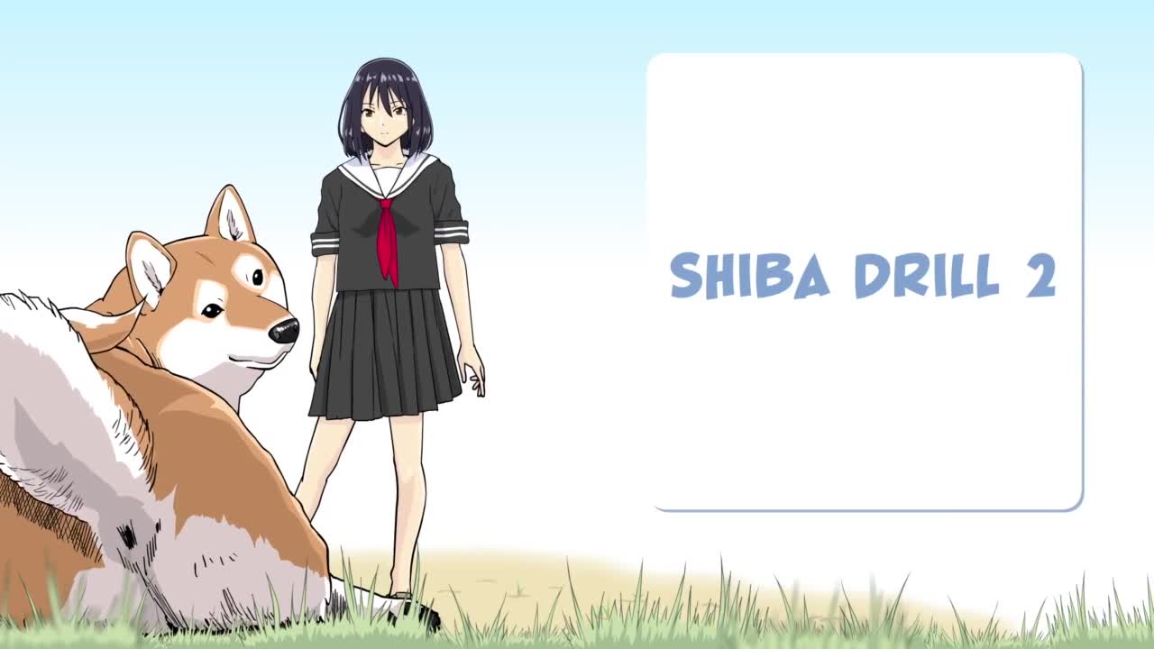 Конец света с сиба-ину