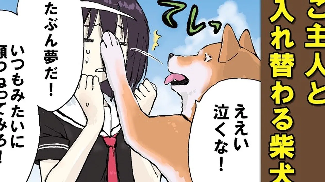 Конец света с сиба-ину