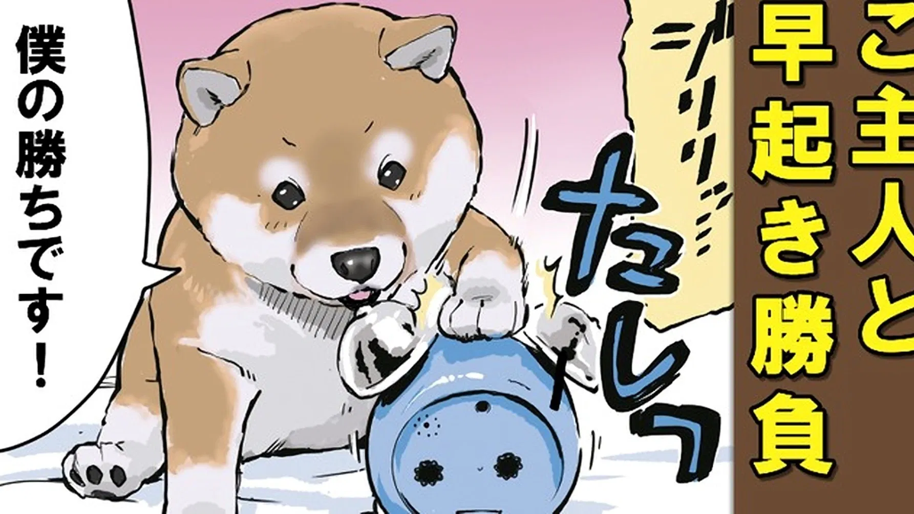 Конец света с сиба-ину