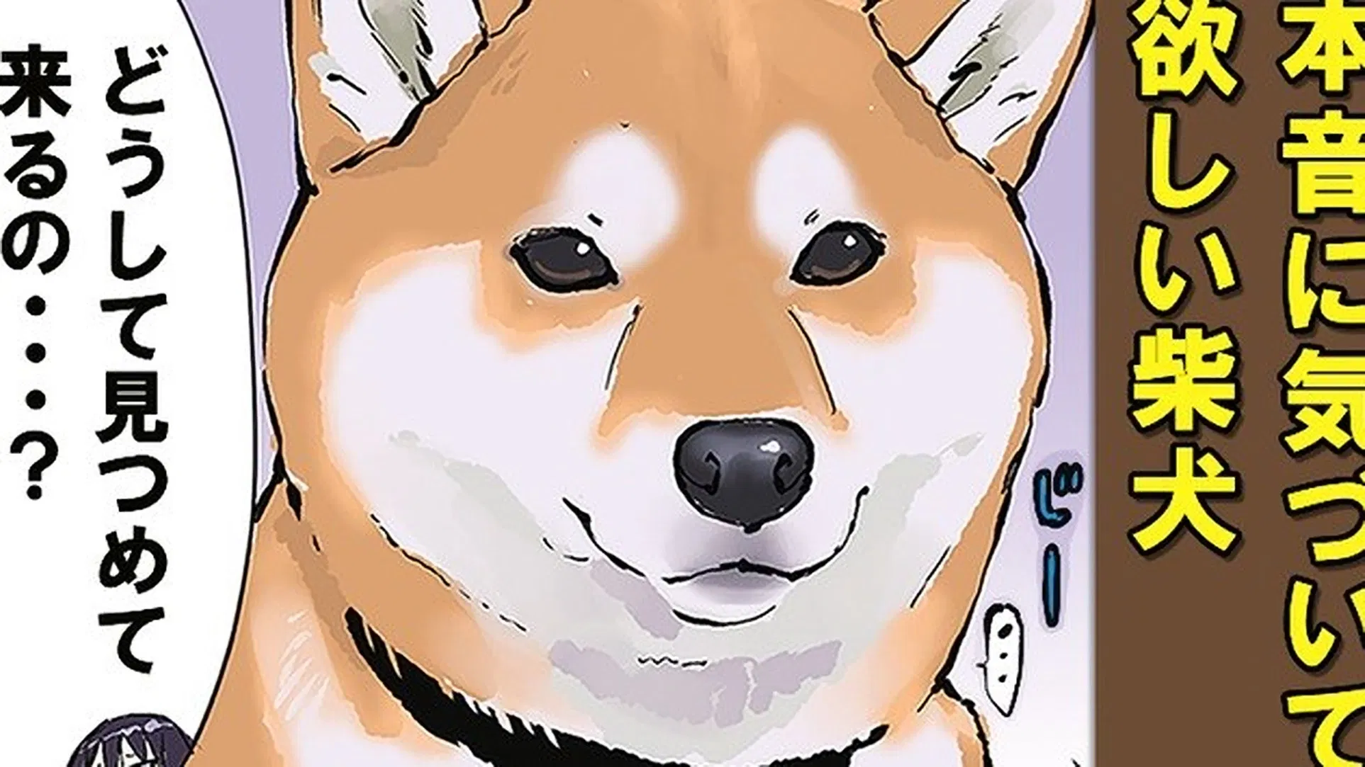 Конец света с сиба-ину