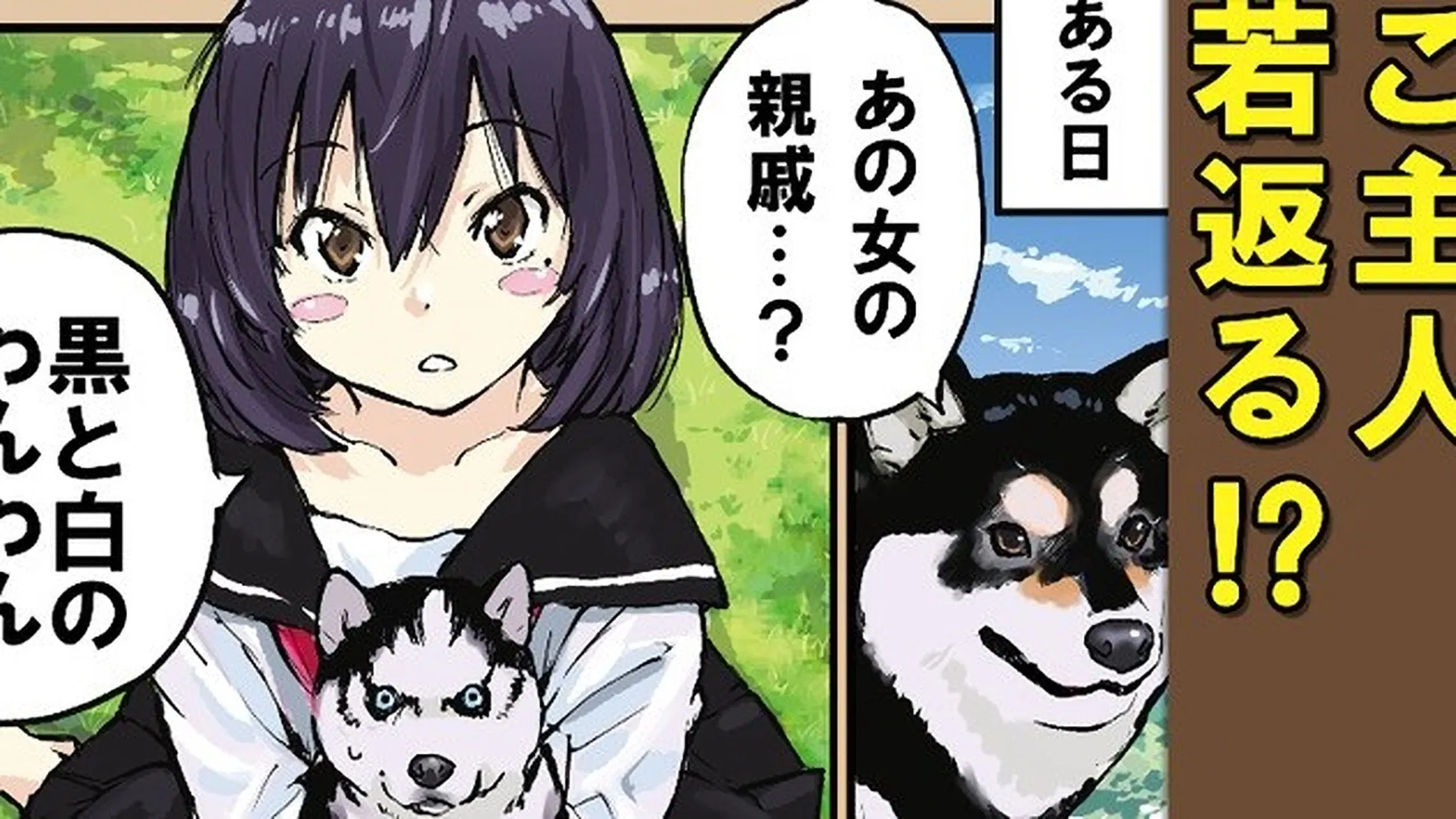 Конец света с сиба-ину