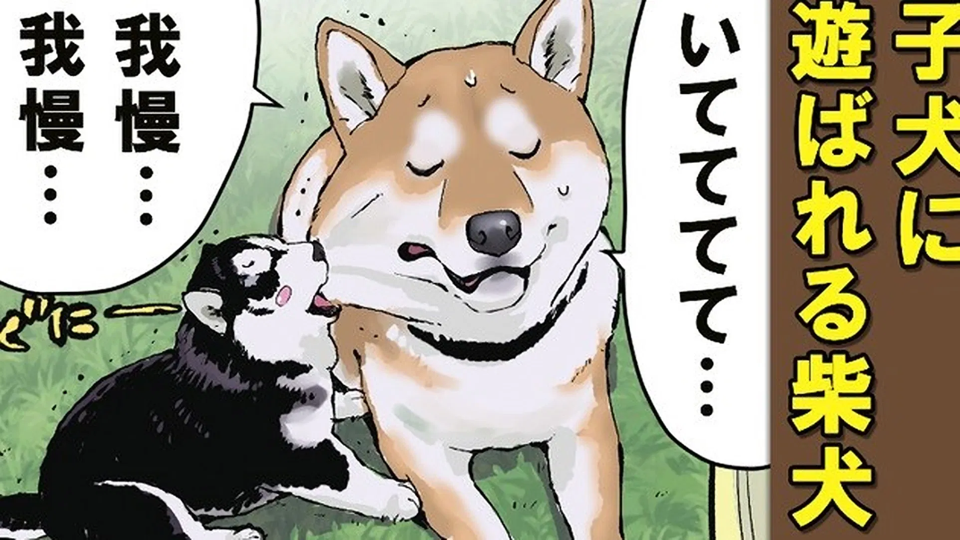 Конец света с сиба-ину