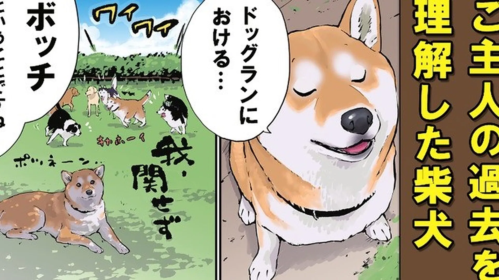 Конец света с сиба-ину