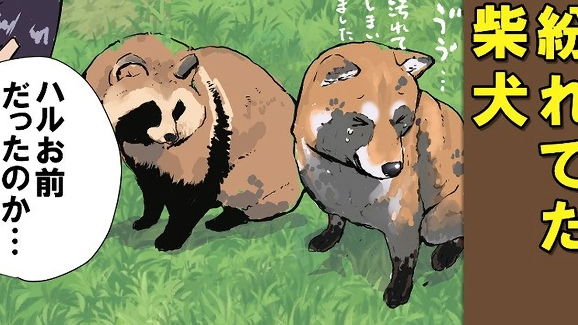 Конец света с сиба-ину