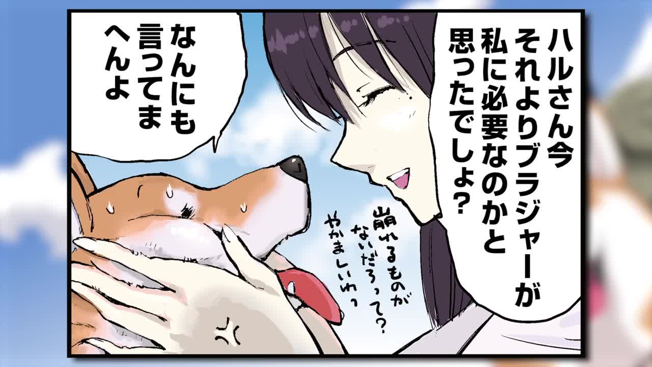 Конец света с сиба-ину