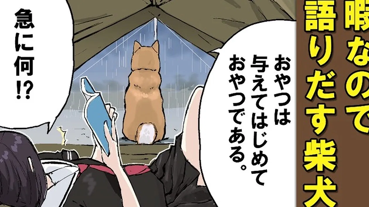 Конец света с сиба-ину