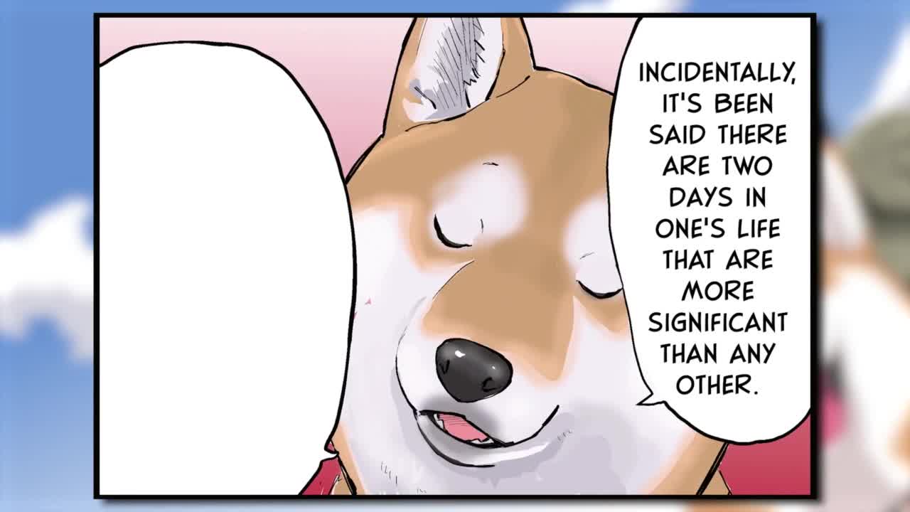 Конец света с сиба-ину