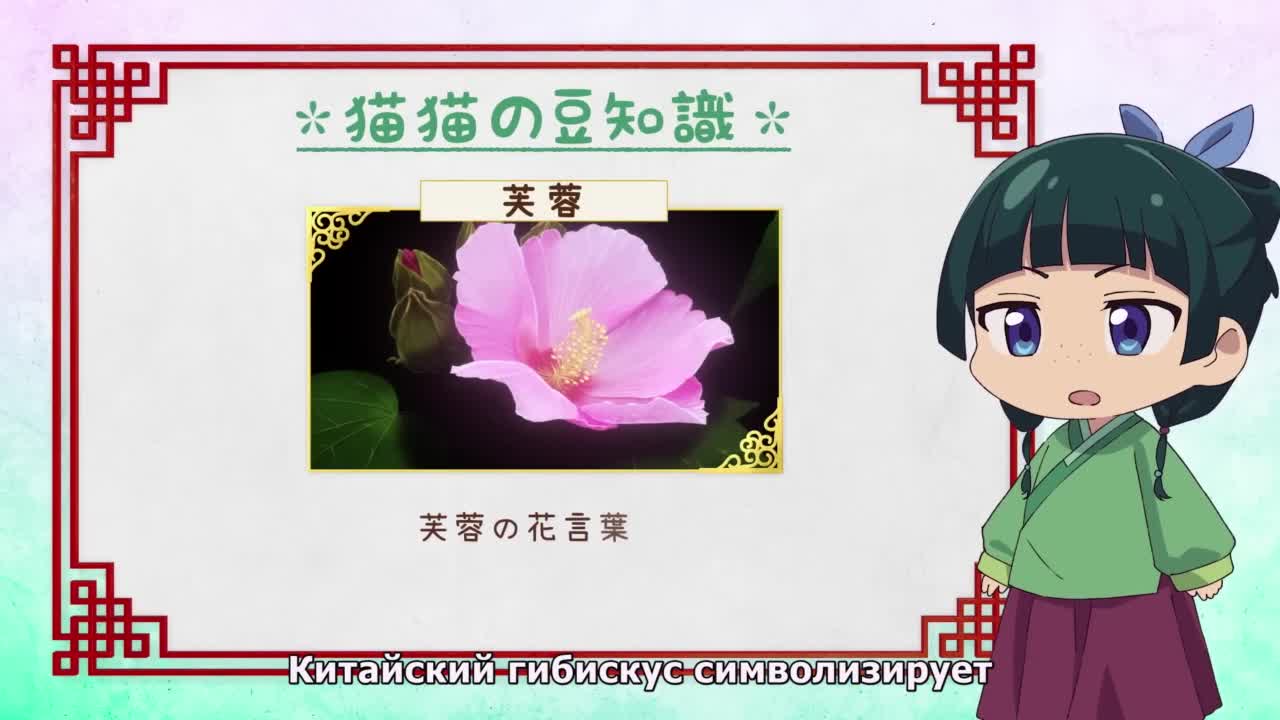 Монолог Маомао