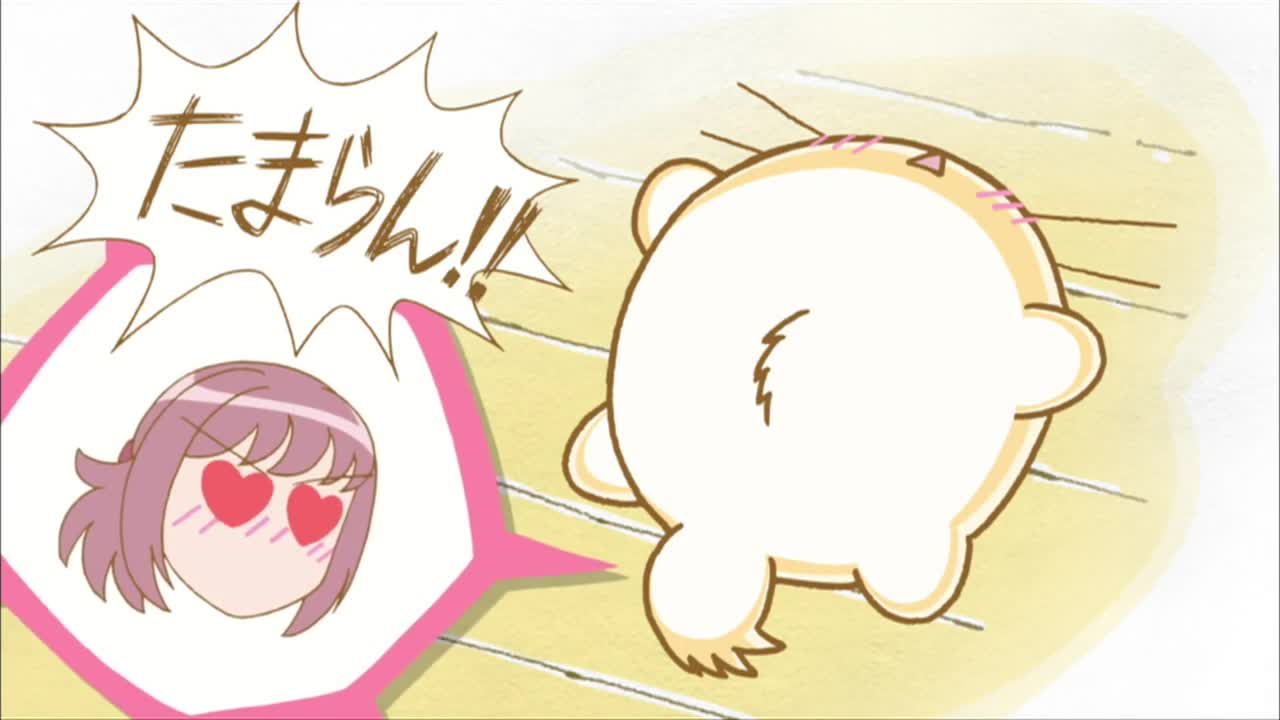 Хроники Пуфика