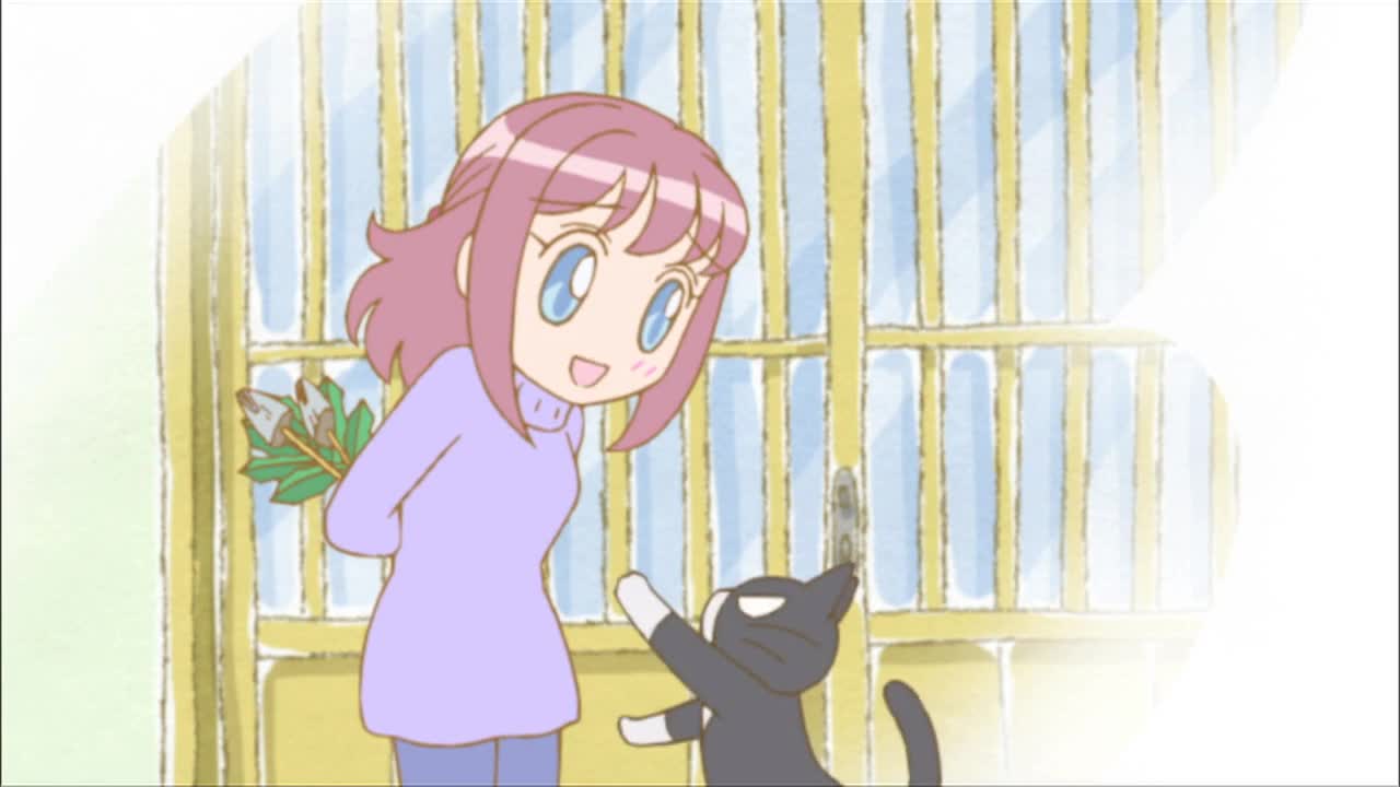 Хроники Пуфика