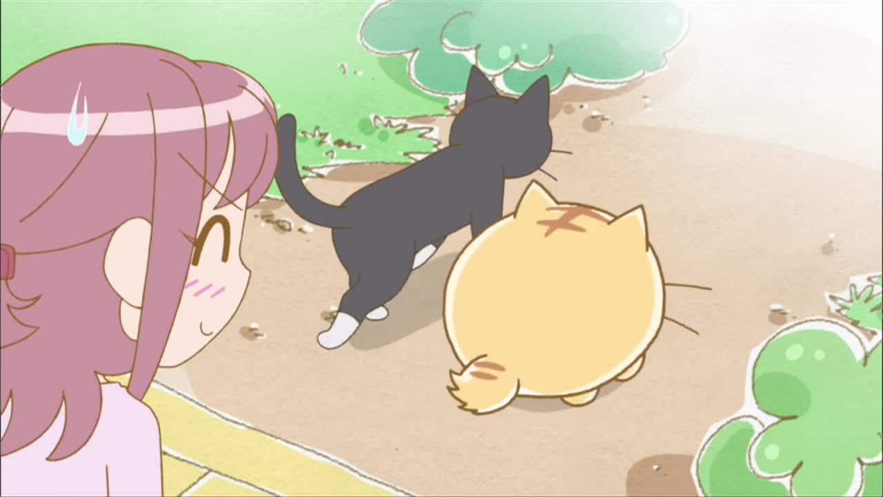 Хроники Пуфика