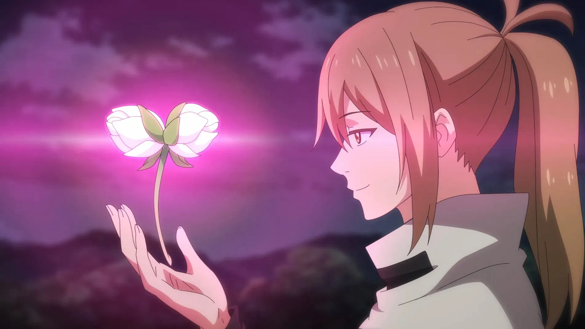 Руководство по посадке фей