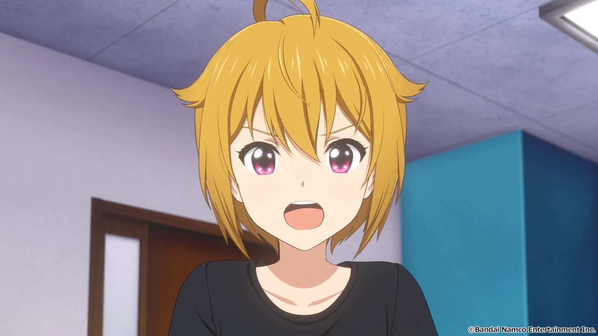 Идолмастер: Концерт на миллион!