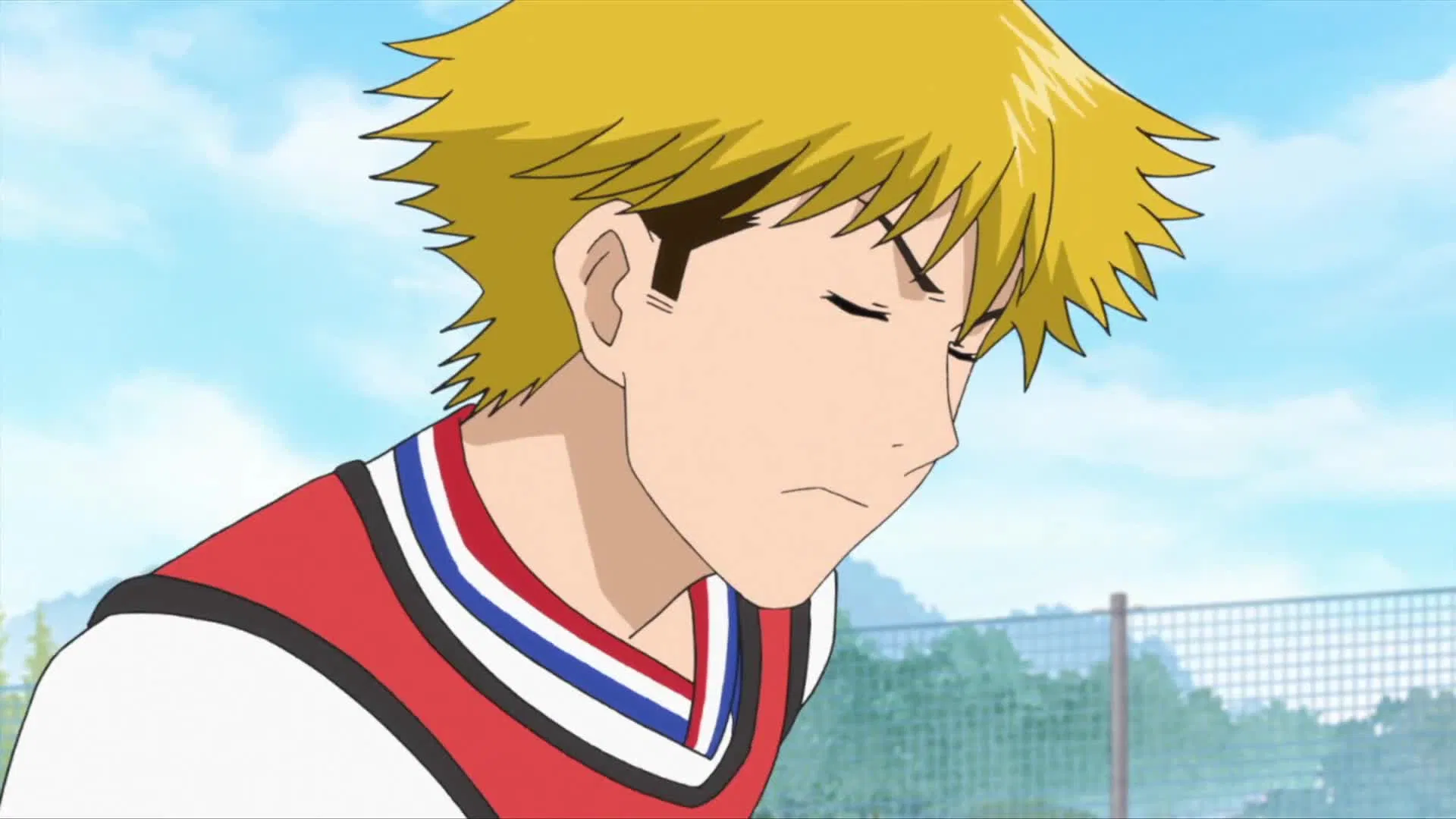 Паладин на поле