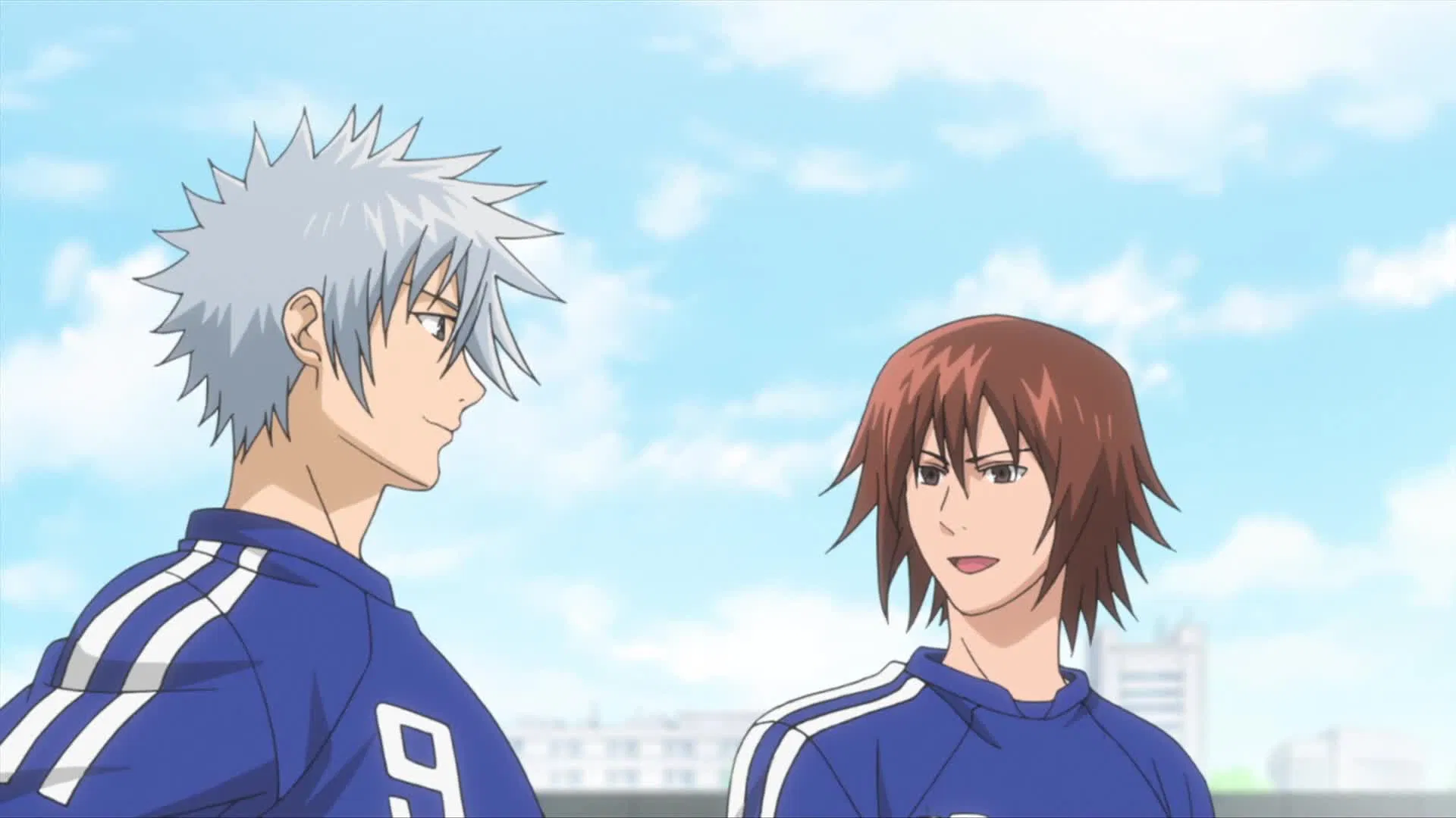 Паладин на поле