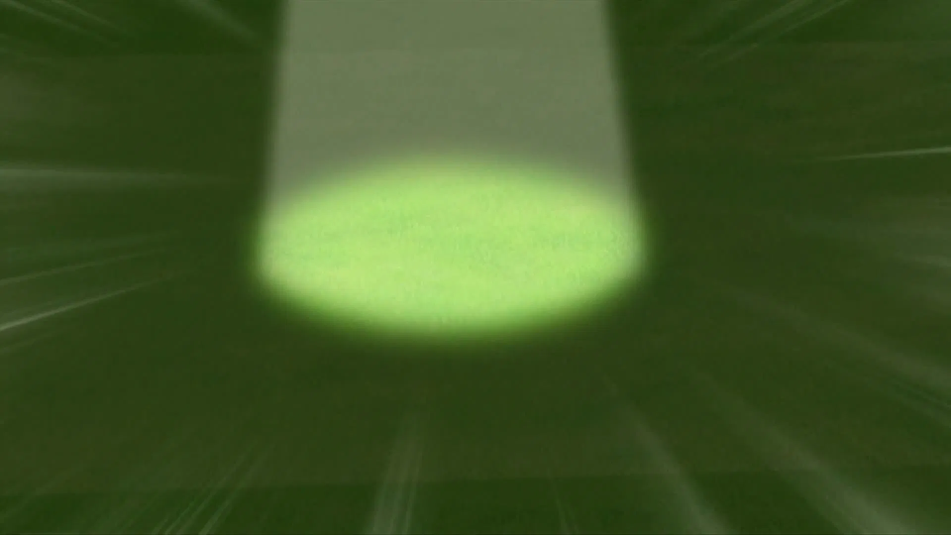 Паладин на поле