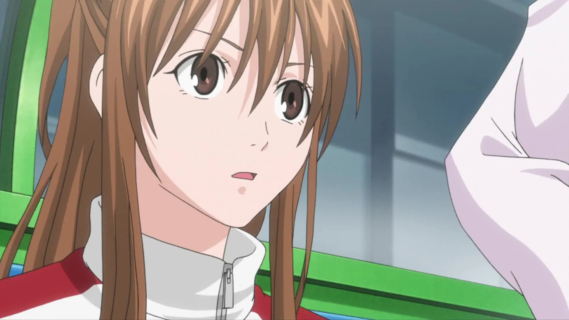 Паладин на поле