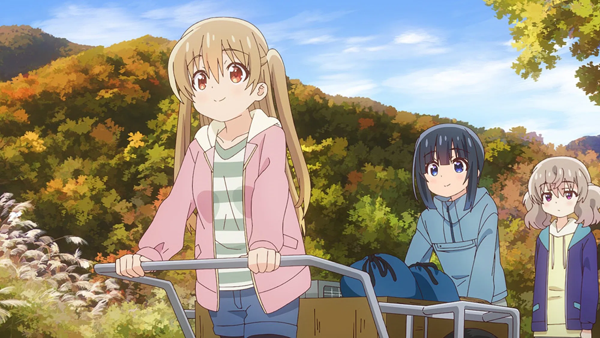 Медленная петля