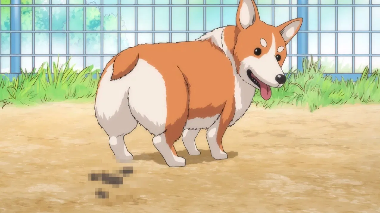 Ода Корица Нобунага