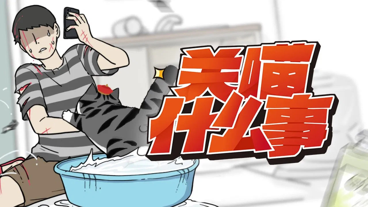 Мой кот ненавидит меня