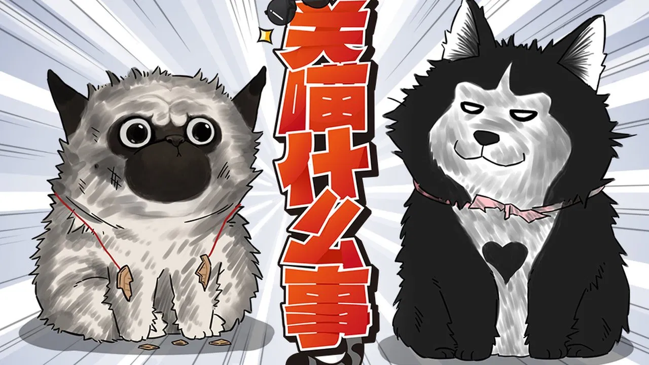 Мой кот ненавидит меня