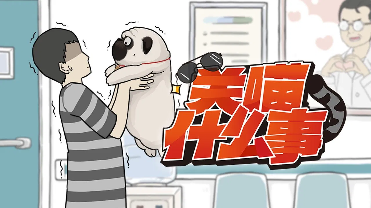 Мой кот ненавидит меня