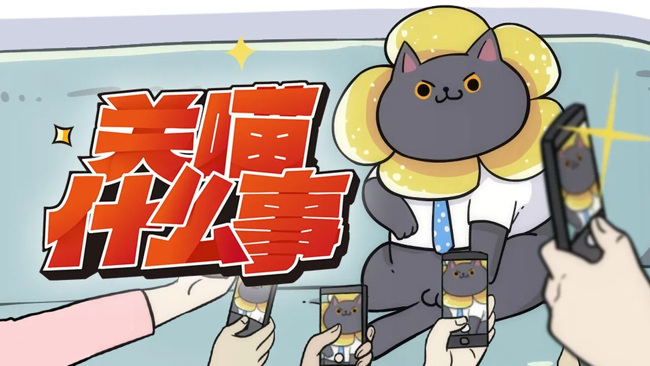 Мой кот ненавидит меня