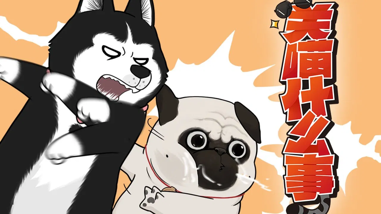 Мой кот ненавидит меня