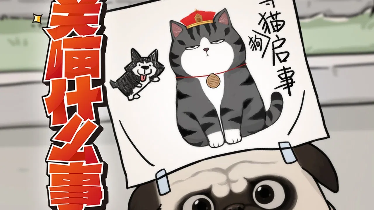 Мой кот ненавидит меня